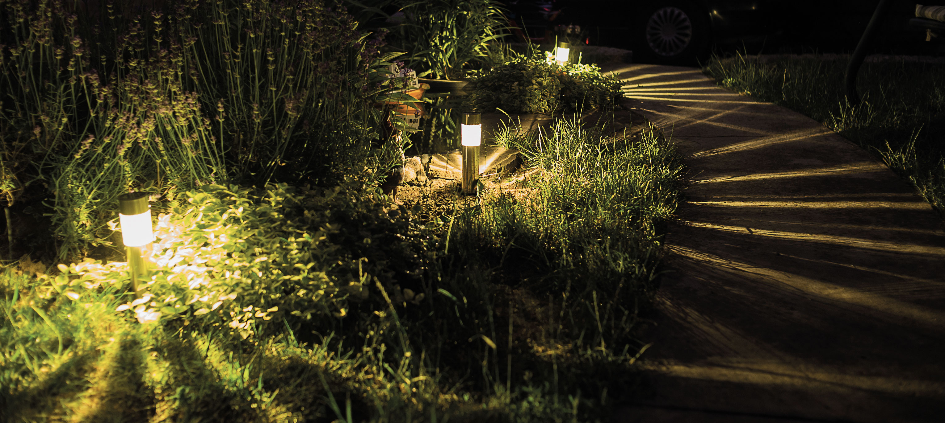 Photo d'un jardin éclairé