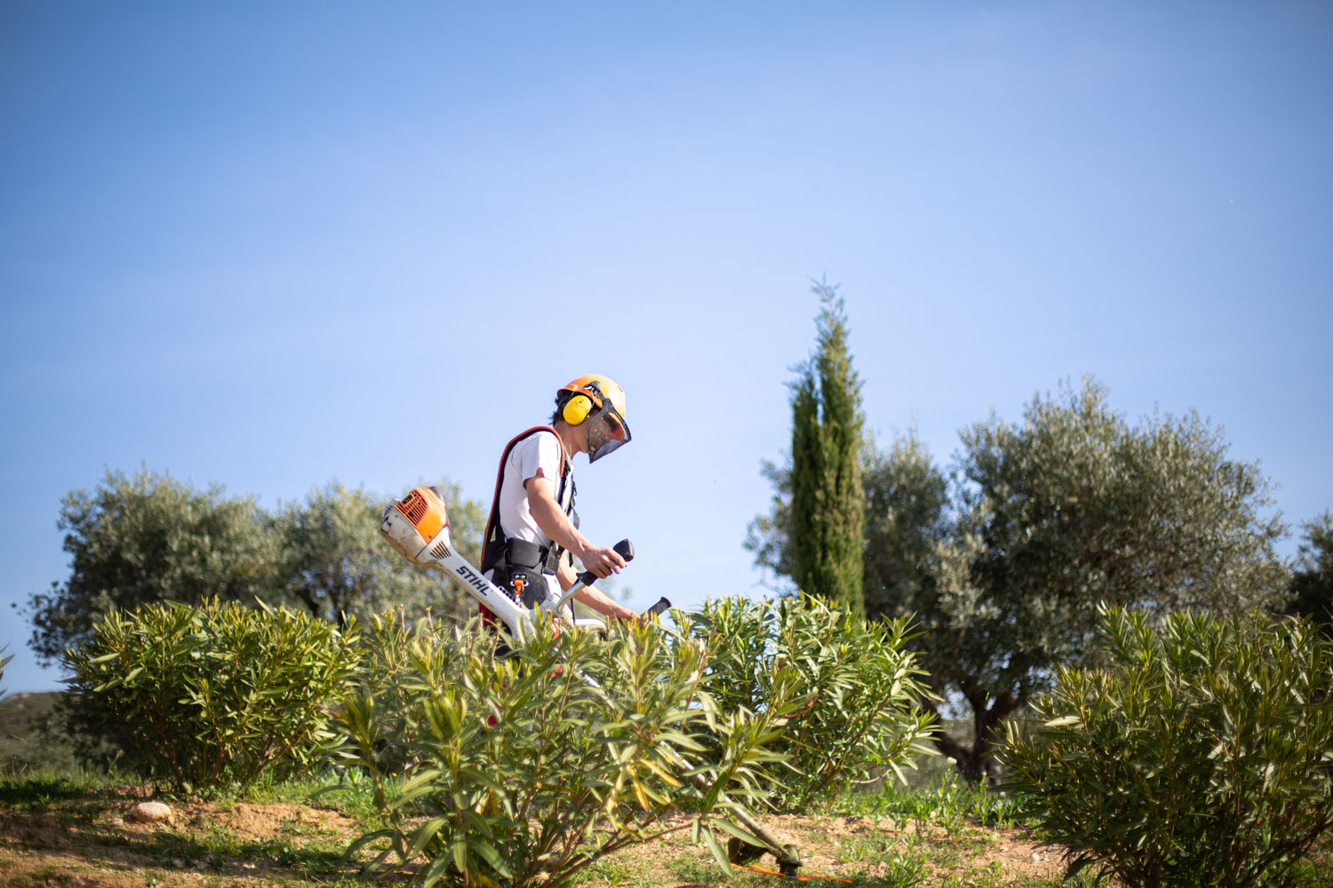 Photo d'un jardinier