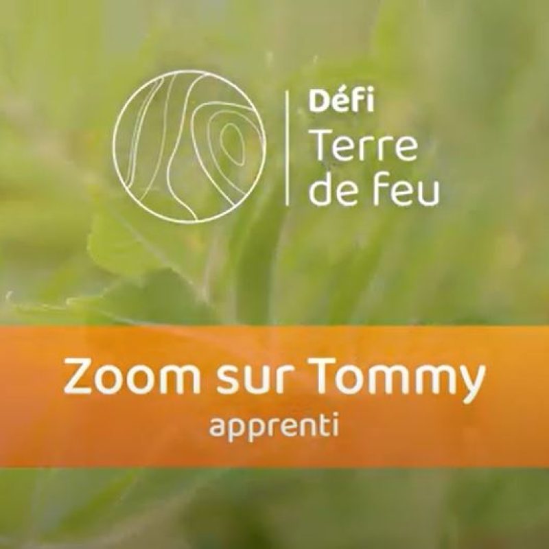 Défi Terre de feu - Tommy